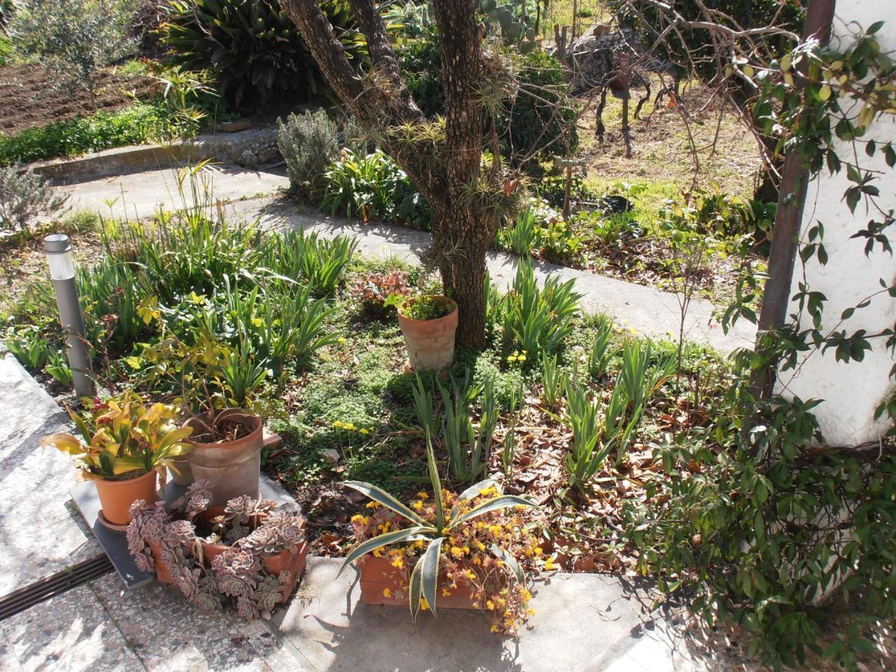 Casa Fortuna Imperia Exterior photo